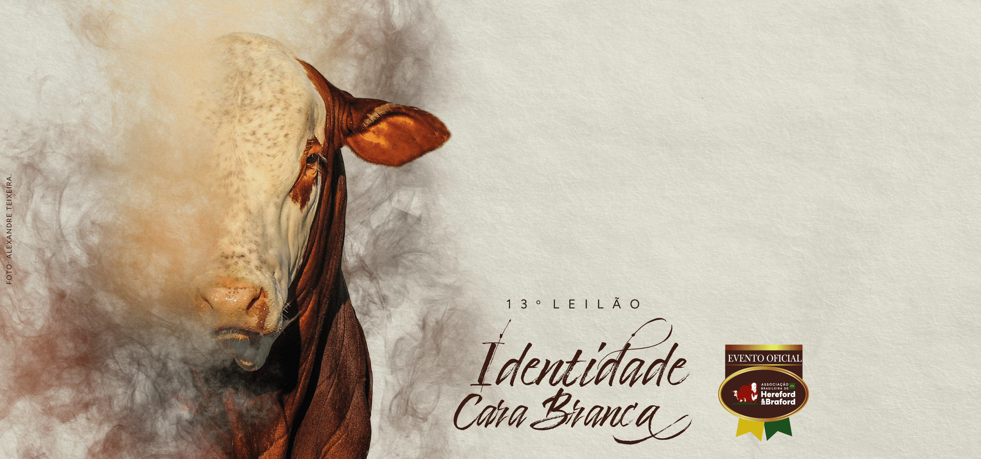 11º Leilão Identidade Cara Branca