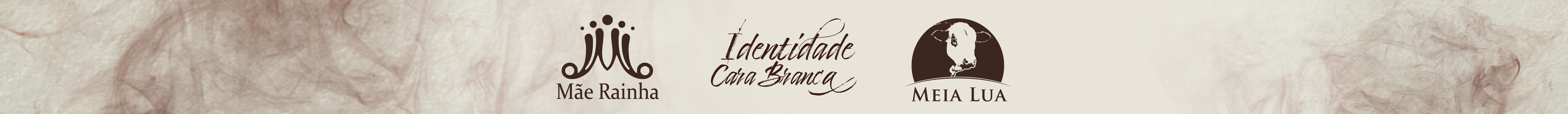 11º Leilão Identidade Cara Branca