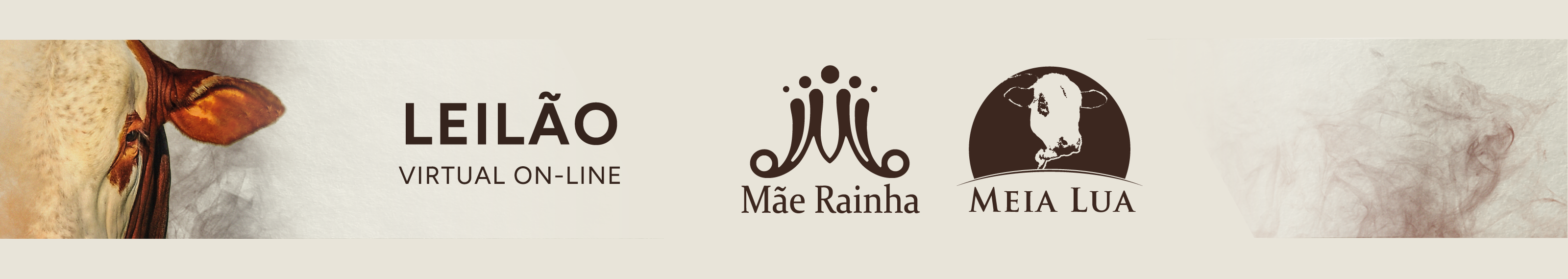 11º Leilão Identidade Cara Branca