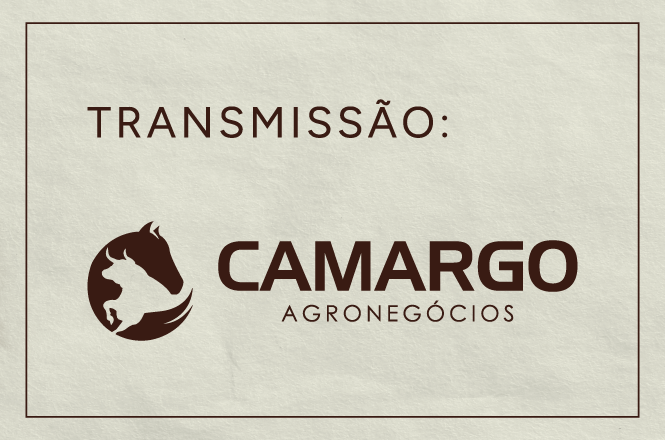 Principais informações